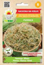 nasiona-na-kielki-pszenica-a-b-c-i-e-moc-witamin