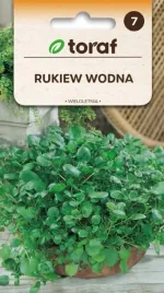rukiew-wodna-dziala-antynowotworowo-02g