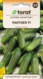 ogorek-gruntowy-partner-f1-odporny-na-wiekszosc-chorob-dyniowatych-2g-toraf
