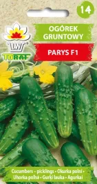 ogorek-parys-f1-odmiana-uniwersalna-do-wszystkieg