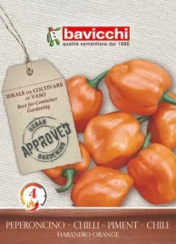 papryka-habanero-orange-wloskie-nasiona-bavicchi-07g