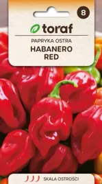 papryka-habanero-red-ostra-smak-owocow-tropik-02g