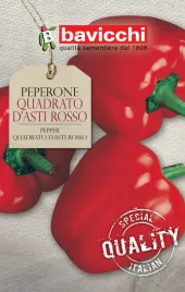 papryka-quadrato-d-asti-rosso-wloskie-nasiona-bavicchi-07g
