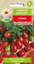 pomidor-denar-takze-do-pojemnikow-na-balkony-05g