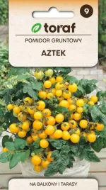 pomidor-koktajlowy-aztek-zolty-idealny-do-donicy-na-balkon-03g-toraf