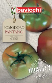 pomidor-pantano-wloskie-nasiona-bavicchi-07g