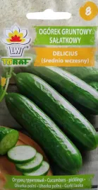 ogorek-gruntowy-salatkowy-bardzo-plenny-5g-toraf