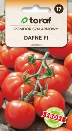 pomidor-szklarniowy-dafne-f1-lekko-splaszczone