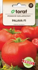 pomidor-szklarniowy-palava-f1-01g-toraf