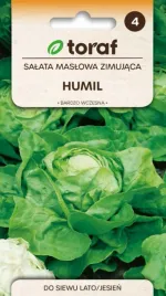 salata-humil-zimuje-w-gruncie-wczesny-zbior-1g