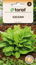 szczaw-wieloletni-plenny-zdrowy-duzo-zelaza-3g