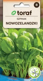 szpinak-nowozelandzki-zawiera-wit-c-i-zelazo-5g