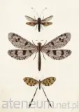 karnet-st407-b6-koperta-wazki-stan-nowy