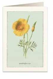 karnet-b6-koperta-6021-pozlotka