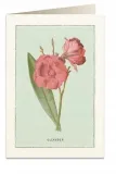 karnet-b6-koperta-6023-oleander