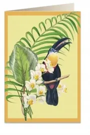 karnet-b6-koperta-6052-tukan