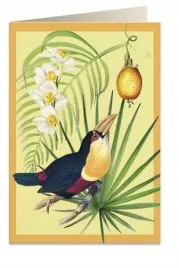 karnet-b6-koperta-6053-tukan-i-owoc