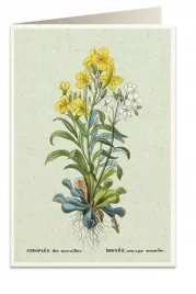 karnet-b6-koperta-6059-mucholowka