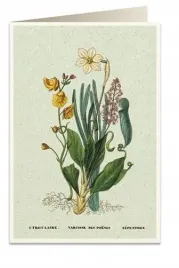 karnet-b6-koperta-6062-narcyz