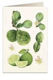 karnet-b6-koperta-6067-pomarancza-bergamota