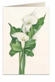 karnet-b6-koperta-7518-cantedeskia