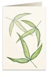 karnet-b6-koperta-6017-foglia-tripartita