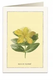 karnet-b6-koperta-6018-roza-sharon