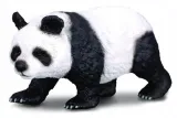 panda-wielka