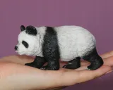 panda-wielka-plec-chlopcy-dziewczynki