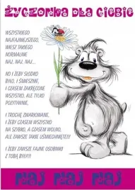 karnet-happy-b6-koperta-wzor-nr-08