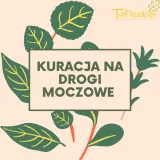 kuracja-na-drogi-moczowe