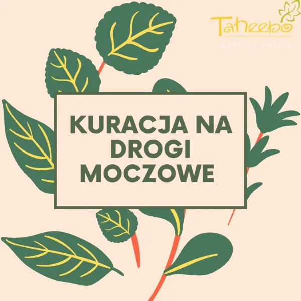 kuracja-na-drogi-moczowe