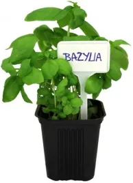 tabliczki-do-opisywania-roslin-30-szt-gardenline