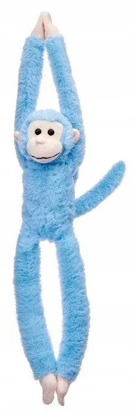 malpka-wiszaca-niebieska