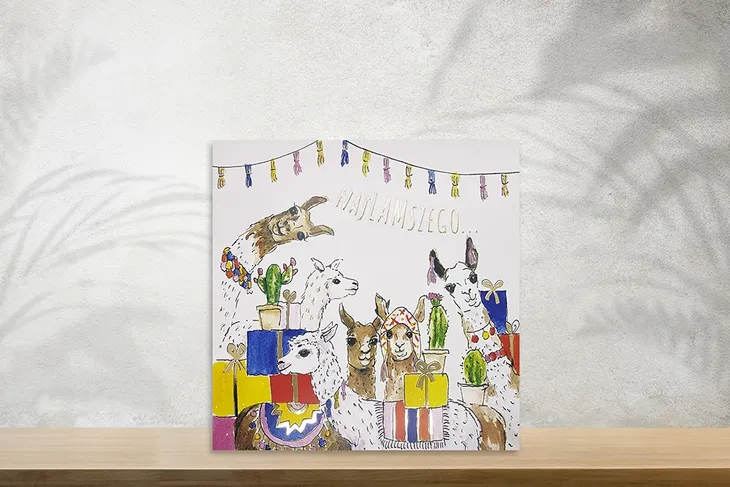 karnet-kw-urodziny-lamy-material-papier