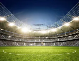 realistyczna-fototapeta-3d-mlodziezowa-stadion-murawa-pilka-nozna-260x390