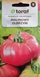 pomidor-gruntowy-malinowy-olbrzym-nasiona-05-g
