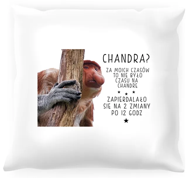 poduszka-z-nosaczem-chandra