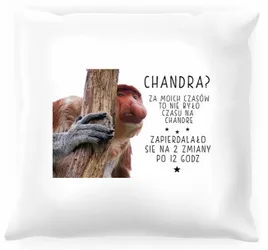 poduszka-z-nosaczem-chandra