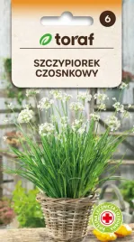 szczypiorek-czosnkowy-nasiona-1-g