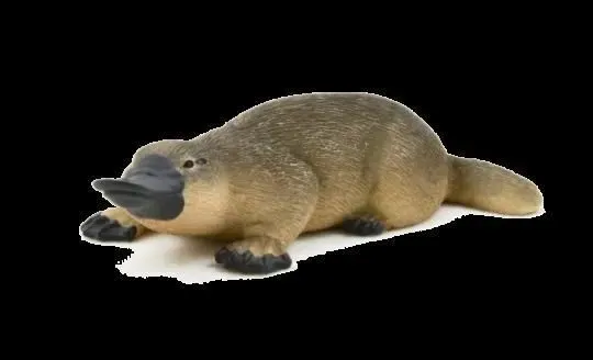 figurka-dziobak-plec-chlopcy-dziewczynki