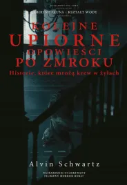 kolejne-upiorne-opowiesci-po-zmroku-historie-ktore-mroza-krew-w-zylach