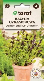 bazylia-cynamonowa-swietny-zapach-przyprawa
