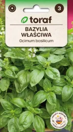 bazylia-wlasciwa-genovese-aromatyczna-1g