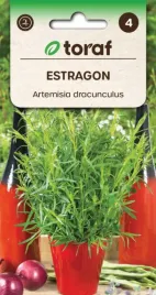 estragon-swietny-do-mies-salatek-zup-leczniczy