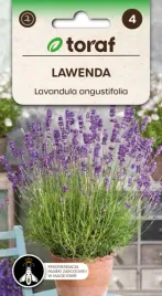 lawenda-wieloletnia-dla-zapachu-na-mole-02g