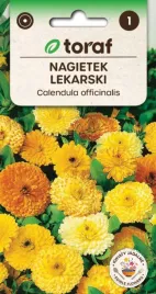 nagietek-lekarski-napar-leczy-kwiaty-pachna-1g