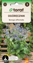 ogorecznik-zapomniana-przyprawa-swietny-do-salatek