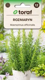 rozmaryn-wieloletni-do-mies-i-ziemniakow-01g