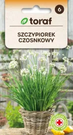 szczypiorek-czosnkowy-leczy-zdobi-smakuje-1g